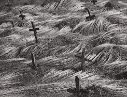 Martin Martinček – Liptovská krajina V. 