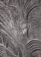 Martin Martinček – Nezbadaný svet I. Papyrus 