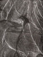 Martin Martinček – Nezbadaný svet IV. Palmové listy 