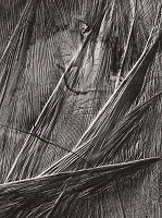 Martin Martinček – Nezbadaný svet VII. Siete 