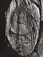 Martin Martinček – Nezbadaný svet IX. Klaun 