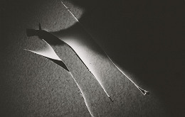 Anton Sládek – Cesta II. 