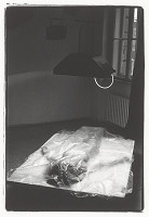 Ján Krížik – Exponát pre Pygmaliona I. 