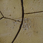 Valéria Zacharová – Stopa civilizácie I. 