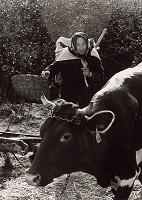 Pavol Breier – Kopanie zemiakov IV. 