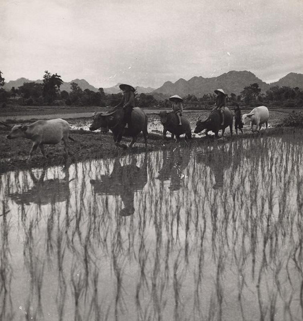 Ján Cifra – Vietnam. Z poľa 