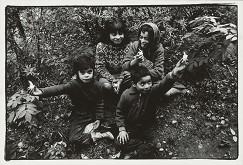 Jozef Lietavec – Bez názvu 