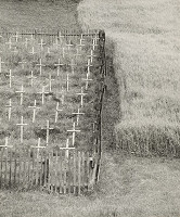 Otakar Nehera – Dvojaká úroda 