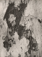 Otakar Nehera – Kôra II. 