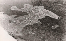 Andrej Barla – Veterná príšera 