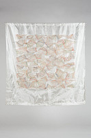 Betty Boulez-Cuykx – Kvet 