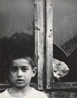 Ľubomír Štecko – Okná 