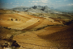 Karel Skřipský – Polia na Lanzarote 