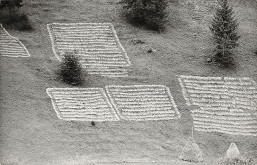 Otakar Nehera – Úcta k úrode 