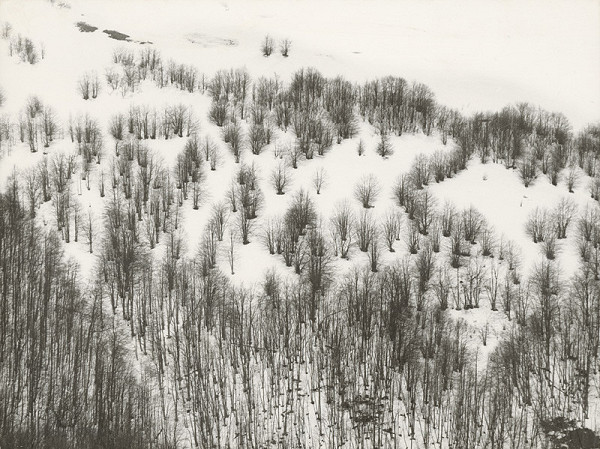 Otakar Nehera – Zimný les I.