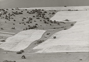 Otakar Nehera – Políčka 