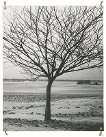 Dezider Tóth – Iluminácia 