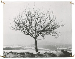 Dezider Tóth – Iluminácia 