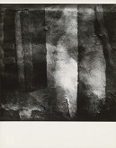 Viera Sláviková – Metamorfóza 