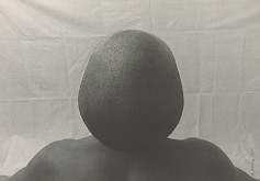 Anton Sládek – Hlava 