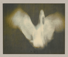 Rudolf Lendel – Husi I. 