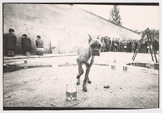 Matej Štepita-Klaučo – Bez názvu II. 