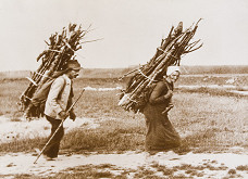 Iľja Jozef Marko – Až 20 km chodili po drevo 