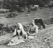 Iľja Jozef Marko – Omšenie 