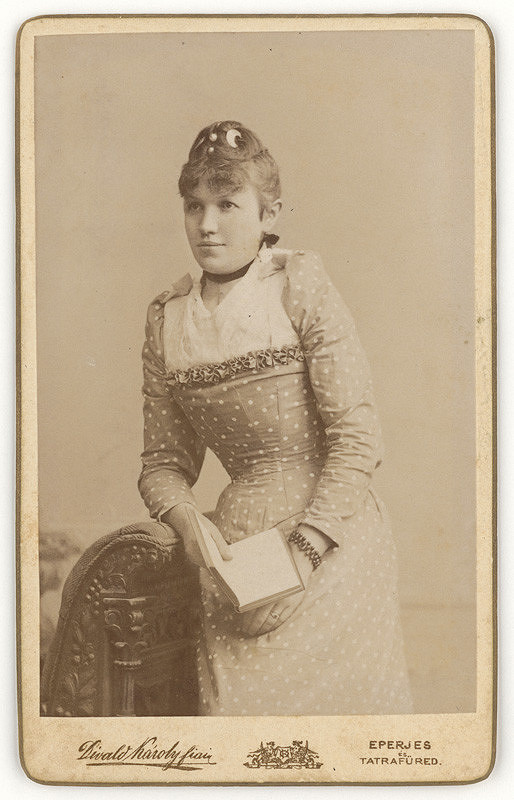 Lajos Divald – Dámsky portrét 