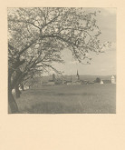 Lívia Jamnická – Vinohradnícke mesto 