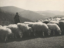 Ladislav Roller – Jar na horách 