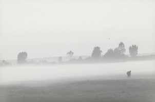 Alexander Novotný-Florians – Ráno 