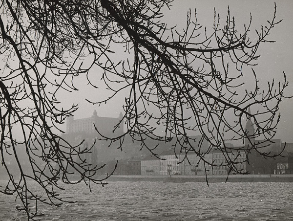 Eduard Pavlačka – Zimný Dunaj