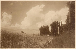 Miloš Jurkovič – Pred žatvou. Cífer 