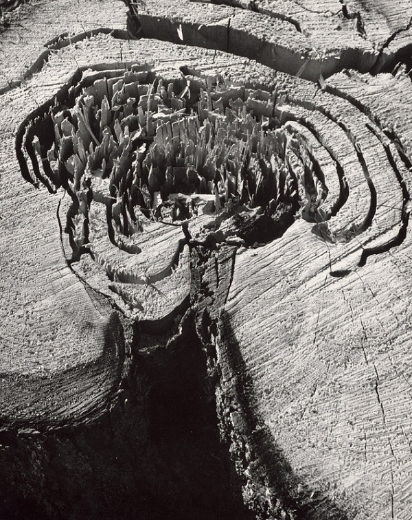 Martin Martinček – Nezbadaný svet. Koketa 