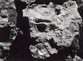 Martin Martinček – Fantázia prírody. Hanibal pred bránami 