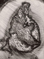 Martin Martinček – Fantázia prírody. Ľudová madona 