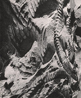 Martin Martinček – Odtlačky pneumatík 