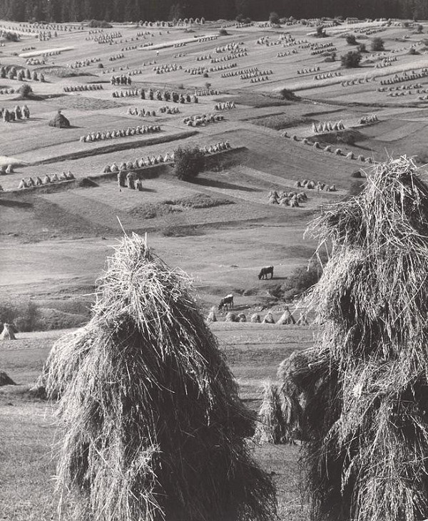 Martin Martinček – Čas žatvy. Liptovská Lúžna