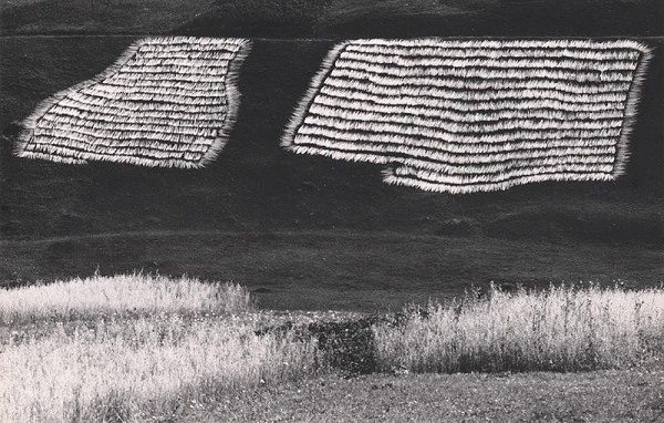 Martin Martinček – Sušenie ľanu 