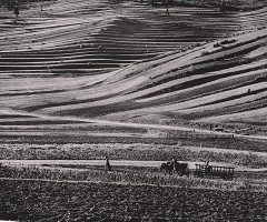 Martin Martinček – Liptovské variácie I. 