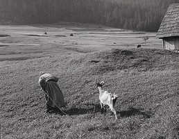 Martin Martinček – Veronika Radlik IX. 