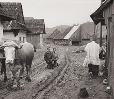 Martin Martinček – Nábožní vrchári I. 