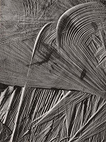 Martin Martinček – Papyrus 