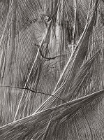 Martin Martinček – Siete 