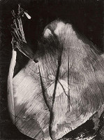 Martin Martinček – Labuť 