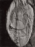 Martin Martinček – Klaun 