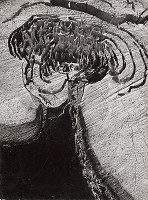 Martin Martinček – Koketa 