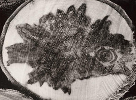 Martin Martinček – Vrabec 