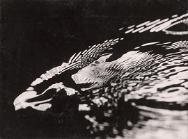 Martin Martinček – Útočiaci orol 